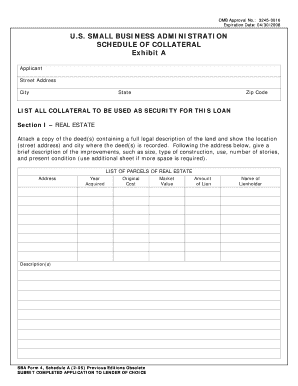 SBA Form 4, Schedule a