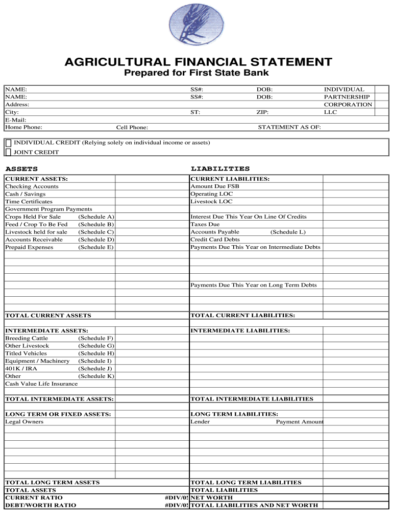 Agriculture Financial Statement Excel  Form