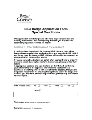 Conwy Council Blue Badge Renewal  Form