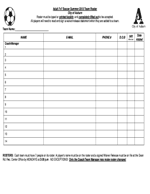 Budgeting Sheet of a Soccer Club  Form