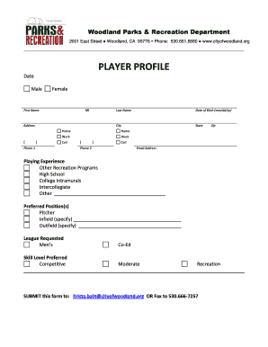 Softball Player Profile Template PDF  Form