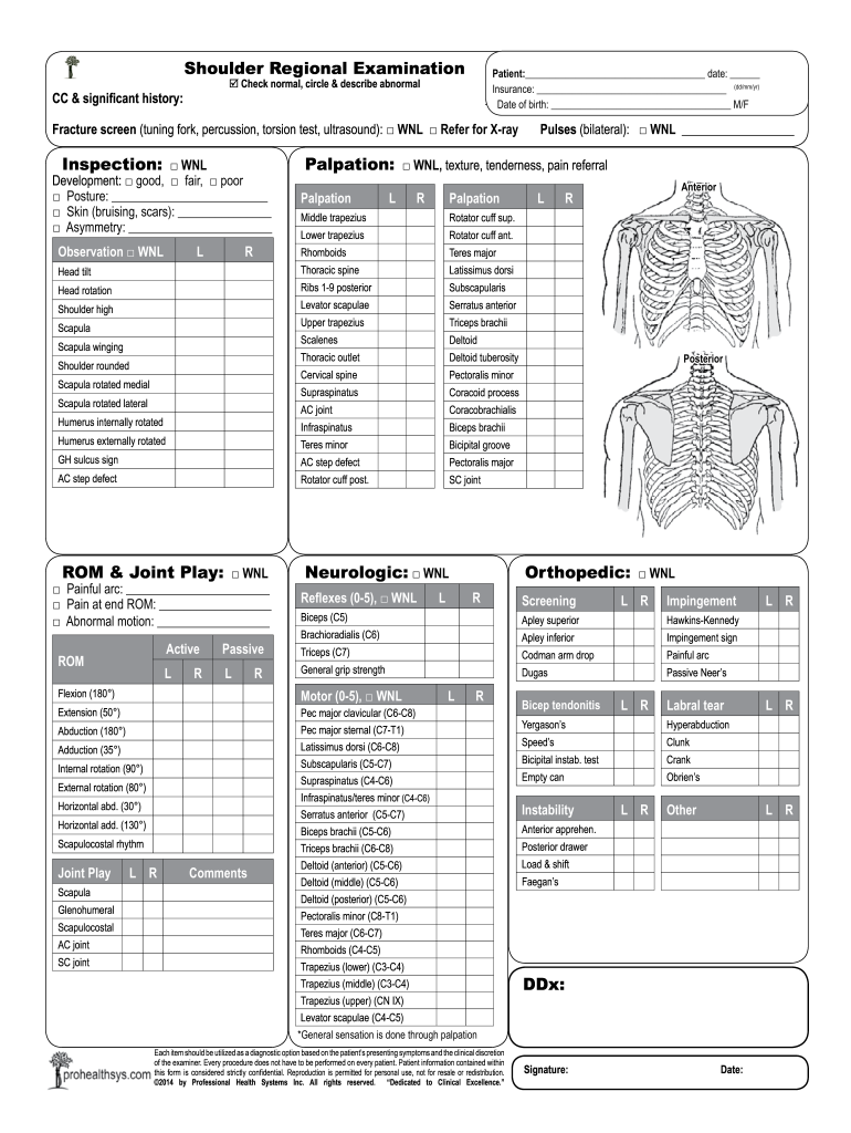 Shoulder Assessment Form PDF