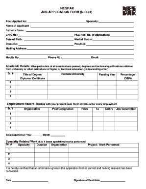 NESPAK JOB APPLICATION FORM N R 01