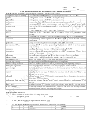 Protein Synthesis Review Worksheet  Form
