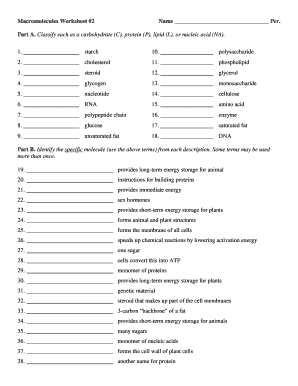Macromolecules Worksheet  Form