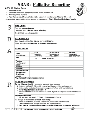 SBAR Palliative Reporting Bhpcconnectioncab  Form