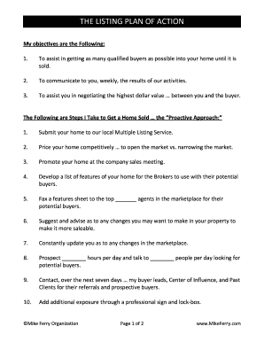Mike Ferry Plan of Action Form