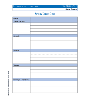 Elements of Literature TRANSPARENCY GRAPHIC ORGANIZER S D  Form