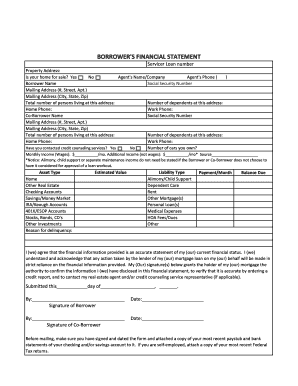 BORROWERS FINANCIAL STATEMENT  Form