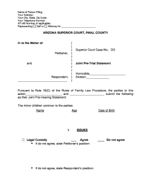 Custody Child  Form