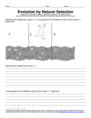 Natural Selection Worksheet  Form