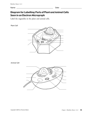 Diagram for Labelling Parts of Plant and Animal Cells  Form