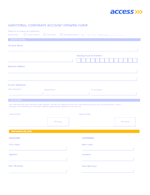 How to Fill Access Bank Form