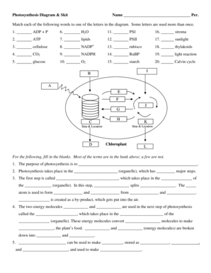 Photosynthesis Diagram and Skit  Form