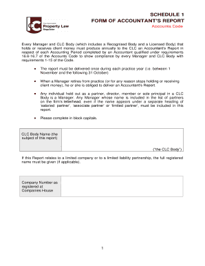 Clc Accountants Report  Form