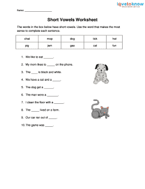 Long and Short Vowel Worksheets PDF  Form
