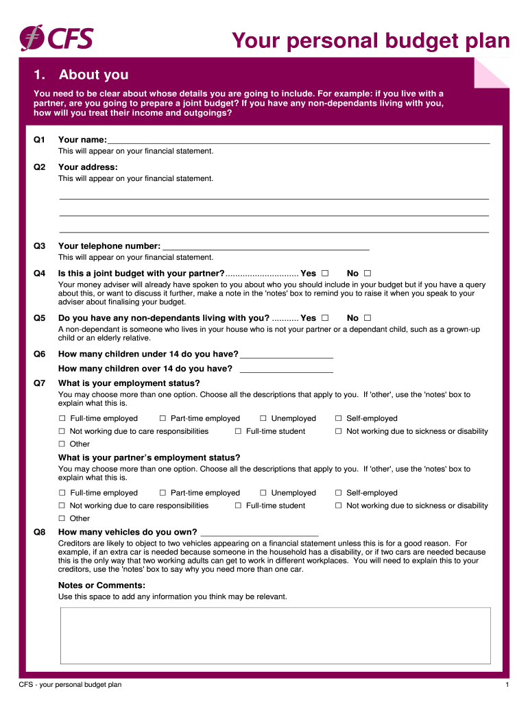 Pro Forma Budget Plan Sample