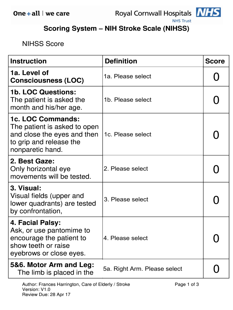 Nih Stroke Scale Cheat Sheet  Form