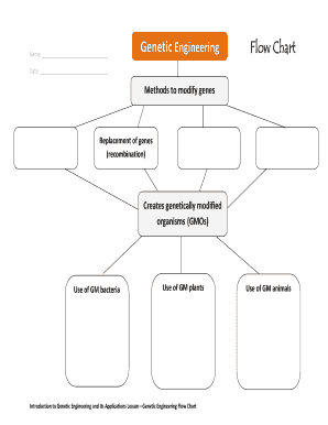 Genetic Engineering Flow Chart  Form