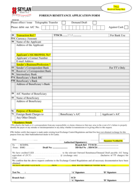 Remittance Application Form