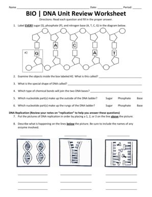 Dna Unit Review Worksheet  Form