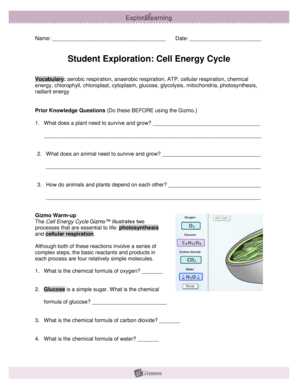 Cell Energy Cycle Gizmo Answer Key  Form