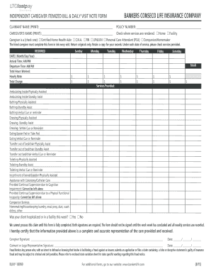 INDEPENDENT CAREGIVER ITEMIZED BILL Amp DAILY VISIT NOTE FORM