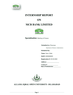 Pakistan Bank Statement PDF  Form
