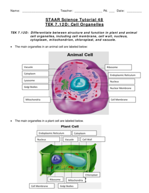 Staar Science Tutorial 48 Answer Key  Form