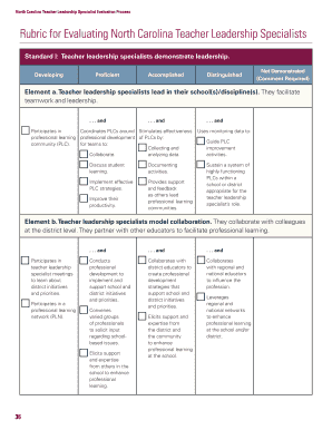 Ncees Teacher Evaluation Rubric  Form