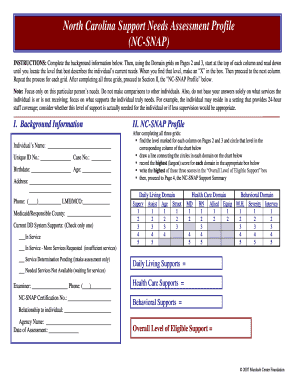 Nc Snap Assessment  Form