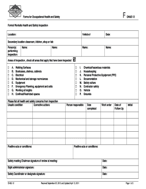 Ohs Form