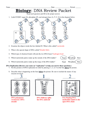 Dna Review Packet Answer Key  Form