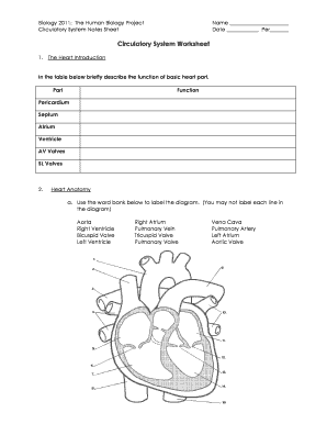 Cardiovascular System Worksheet PDF  Form