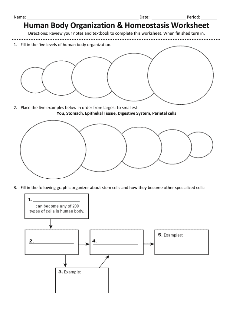 Body Organization Worksheet  Form