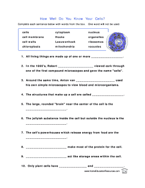 How Well Do You Know Your Cells  Form