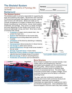 The Skeletal System Haspi Answer Key  Form