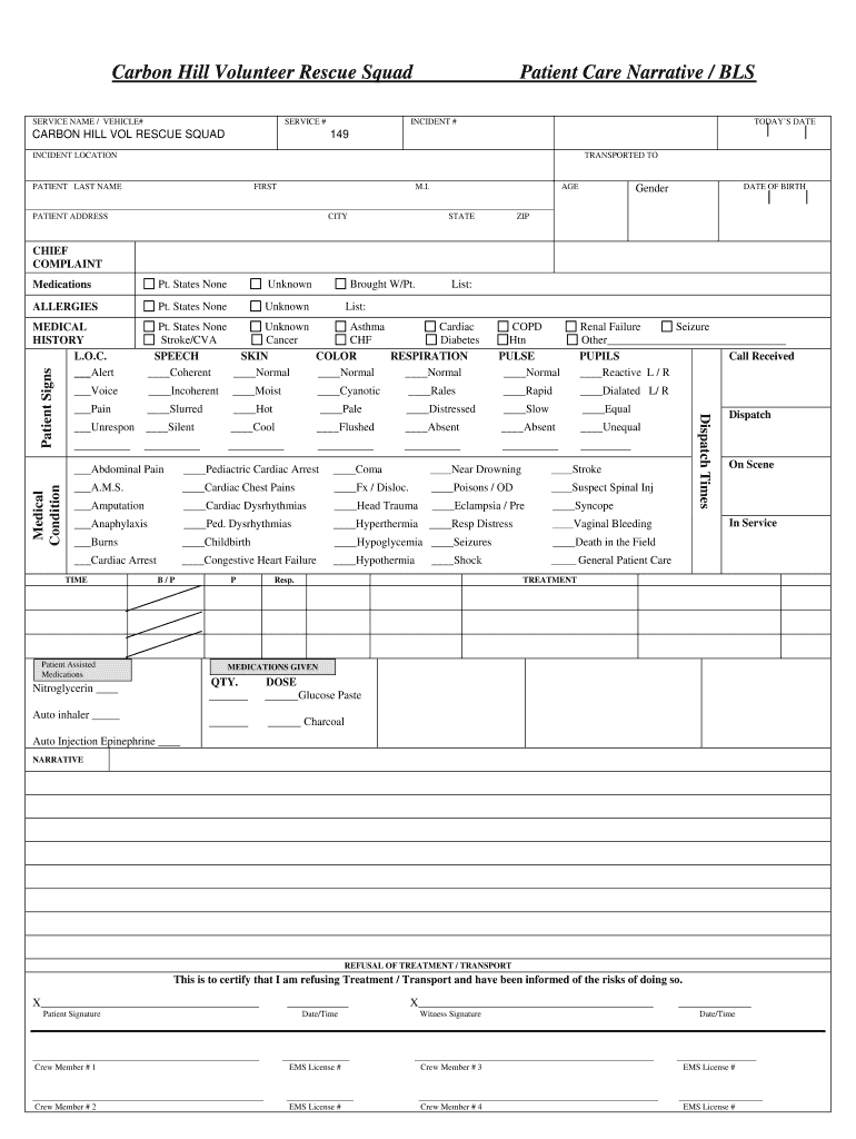 Patient Care Report Template DOC  Form