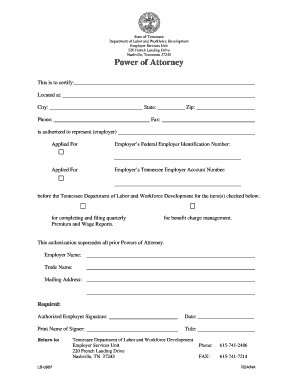 Power of Attorney Form Tn PDF