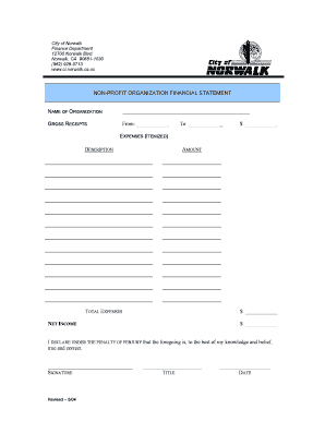 Non Profit Financial Statement  Form