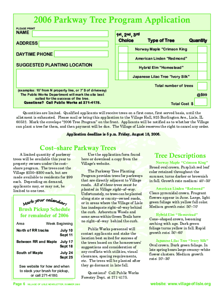 Blank Newsletter Template PDF  Form