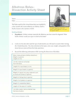 Laysan Albatross Virtual Bolus Dissection Answer Key  Form