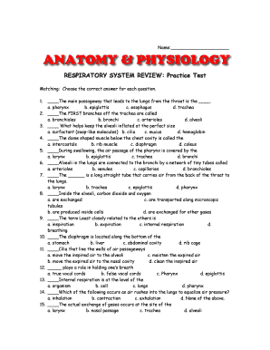 Respiratory System Review Practice Test Answers  Form