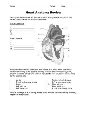 Heart Anatomy Quiz Tracyk12caus  Form