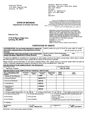 Dhs 20 Verification of Assets  Form