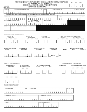 Dss 5095  Form