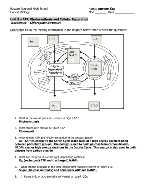 Unit 5 Photosynthesis and Cellular Respiration Answers  Form