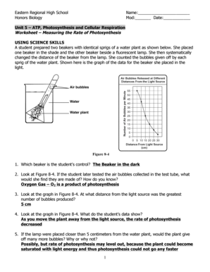 Photosynthesis Worksheet Answer Key PDF  Form