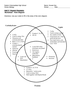 Carbohydrates and Lipids Venn Diagram  Form