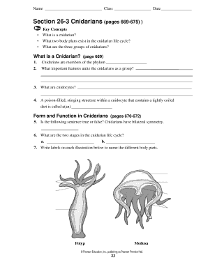 Phylum Cnidaria Worksheet Answers  Form